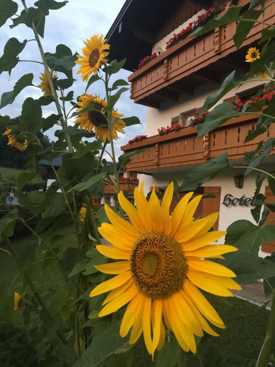 Alpenhotel Weiherbach Berchtesgaden Exterior foto